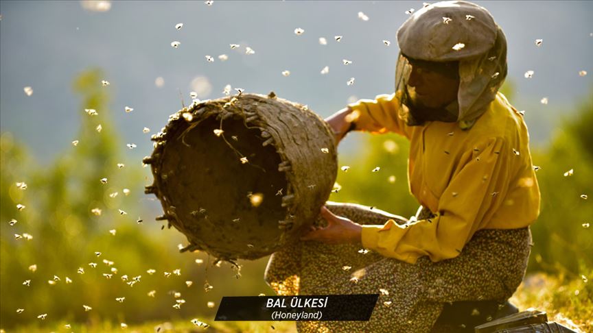 Kuzey Makedonya’nın Oscar adayı “Bal Ülkesi” filmi Türkiye’de izleyicilerle buluşacak