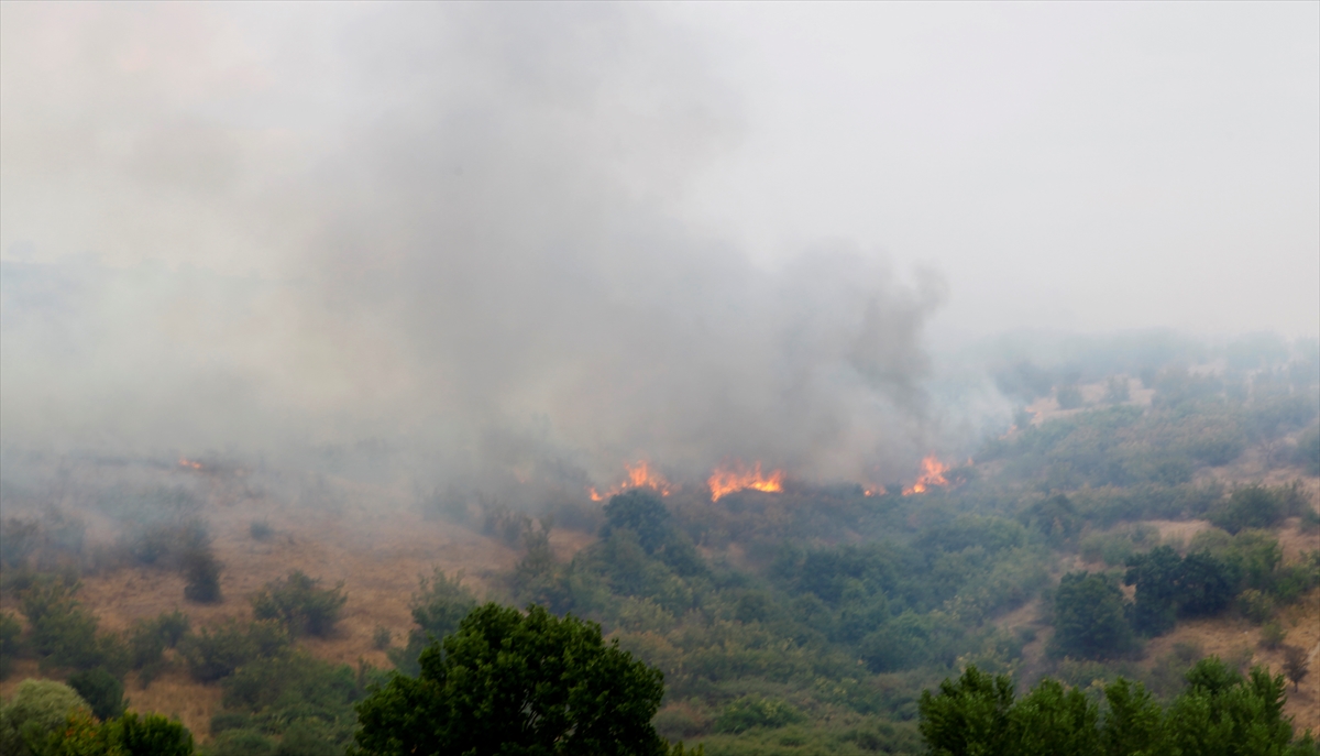 Bulgaristan’daki yangının Türkiye’ye sıçramaması için önlemler artırılıyor