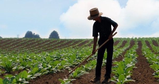 Bulgaristan çiftçilere verilen kredilerin vadesi uzatılıyor