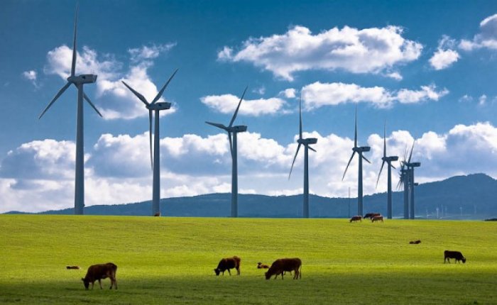 Sırbistan’da rüzgar enerjisi santralleri kurulacak