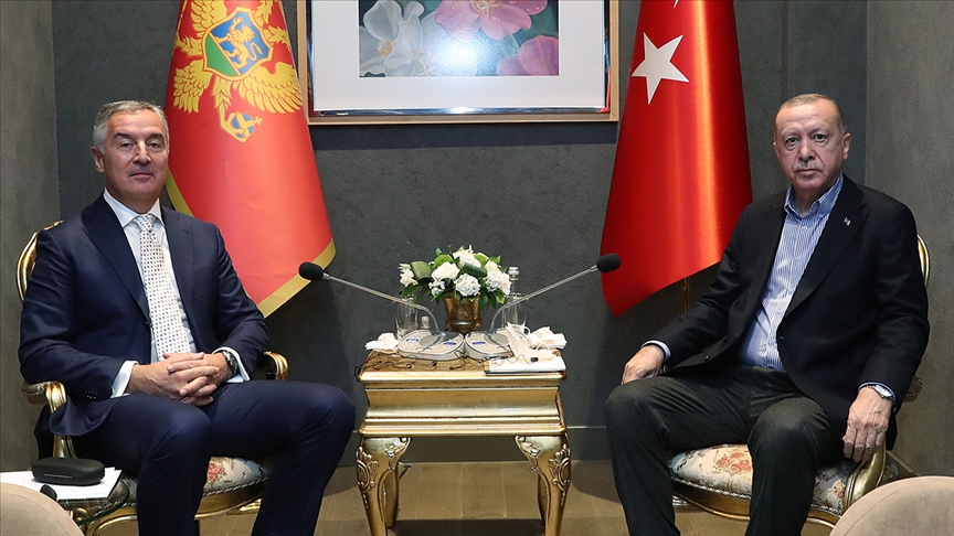 Türkiye Cumhurbaşkanı Erdoğan, Karadağ Cumhurbaşkanı Cukanoviç’le görüştü