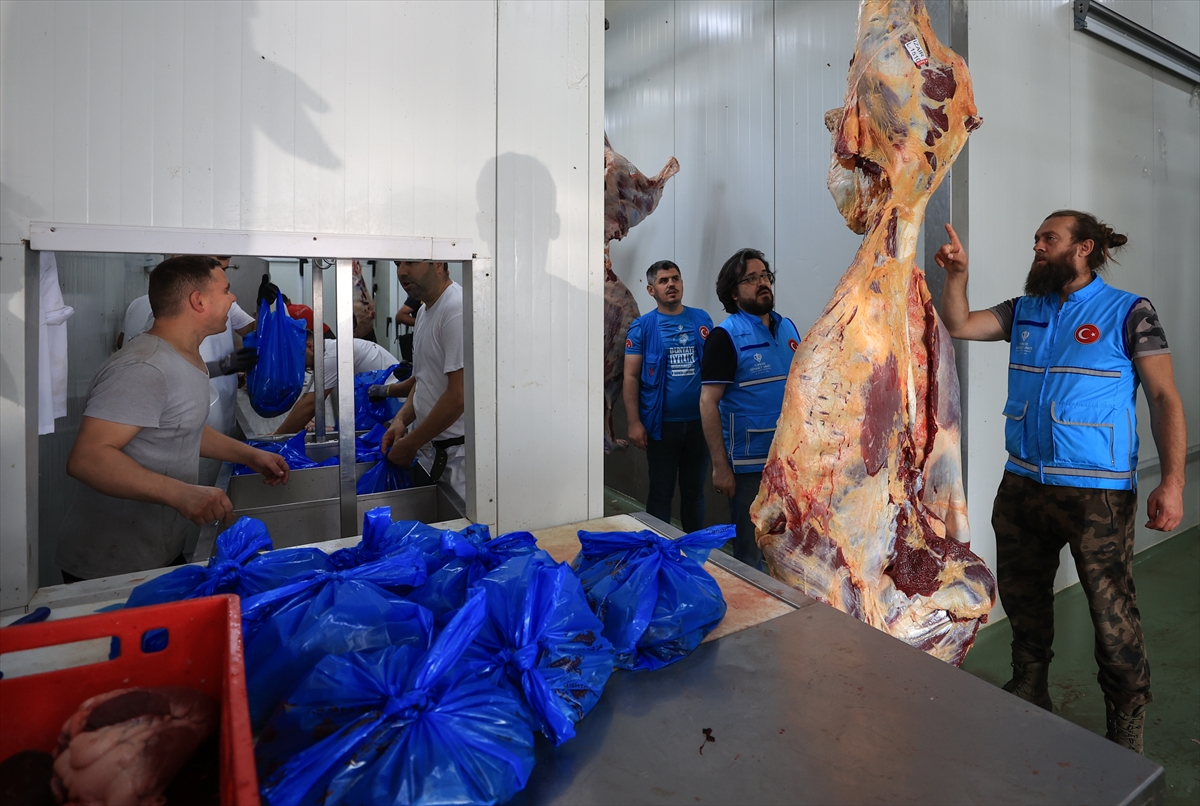 TDV gönüllüsü ünlüler Üsküp’te ihtiyaç sahiplerine kurban eti dağıttı