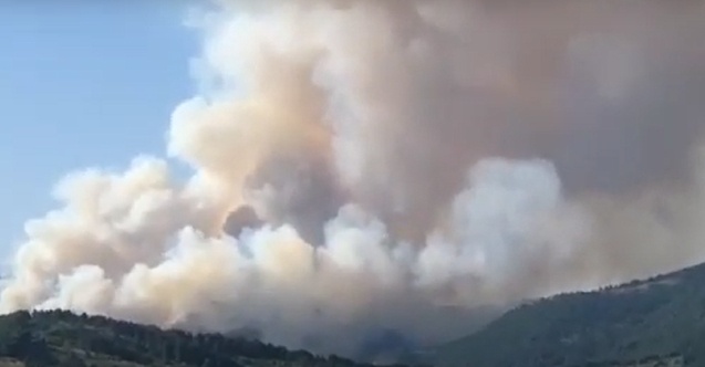 Arnavutluk Savunma Bakanı: Yangınlar kasıtlı çıkarılıyor