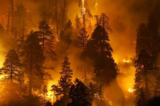 Arnavutluk’ta orman yangınları sürüyor