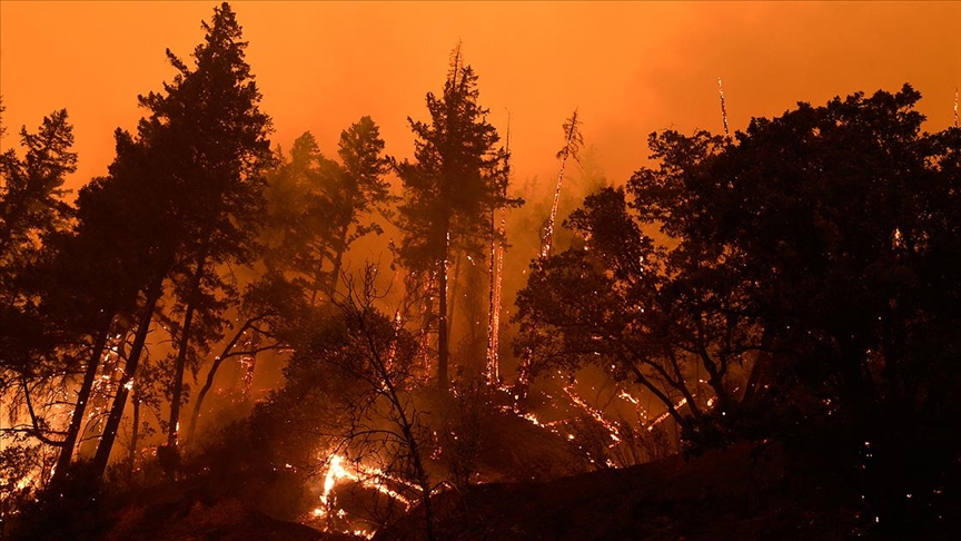 Arnavutluk’ta orman yangınları devam ediyor