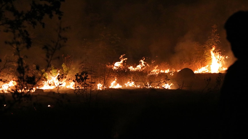Arnavutluk’ta 6 bölgede orman yangını bulunuyor