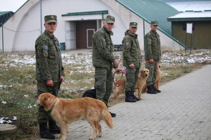 Türkiye, Kosova’ya arama-kurtarma çalışmaları için K9 köpekleri bağışladı