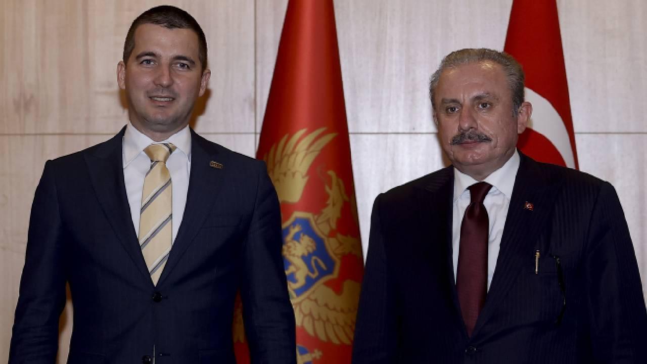 TBMM Başkanı Şentop, Karadağ Parlamento Başkanı Beçiç ile bir araya geldi