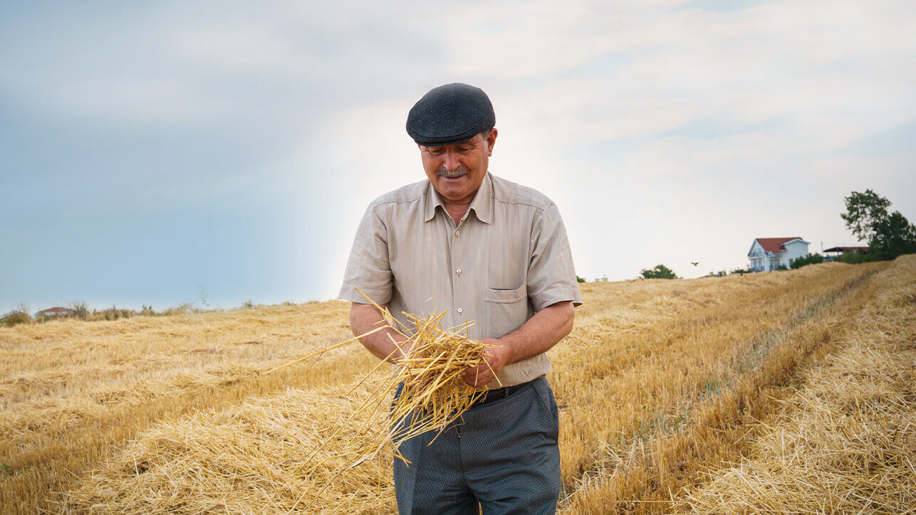 Bulgaristan’da yıl ortasına kadar çiftçilere 1 milyar leva destek verilecek