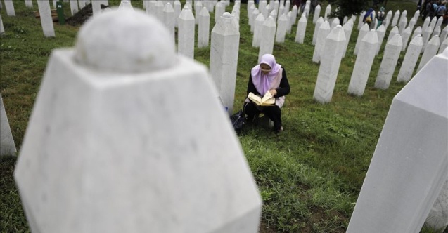 Srebrenitsa anneleri, Sırpların talep ettiği “soykırım terimini istismar” yasasına karşı
