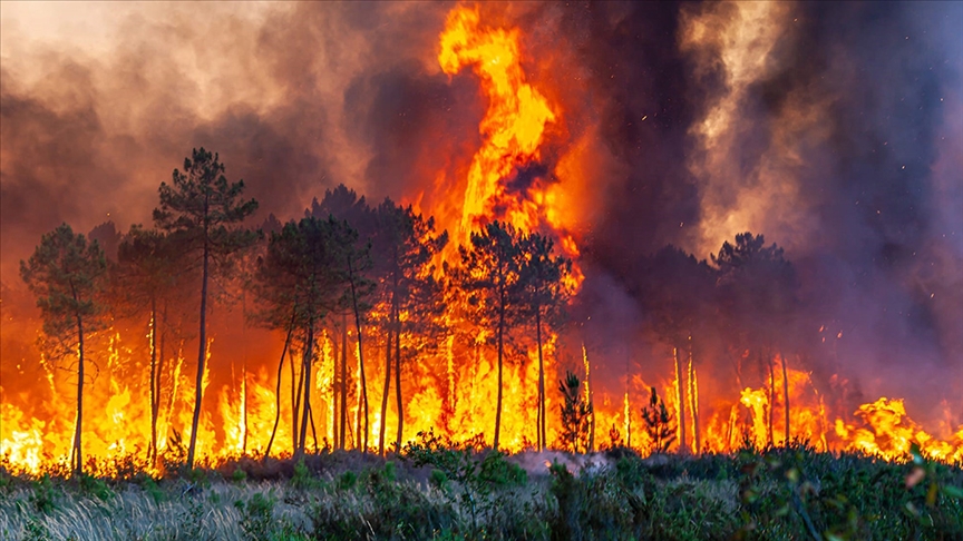 Avrupa’da orman yangınları etkisini sürdürüyor