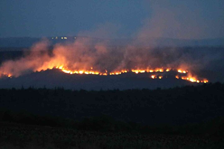 Bulgaristan’daki yangın Edirne’ye dayandı: Alevler ürkütücü boyuta ulaşıyor