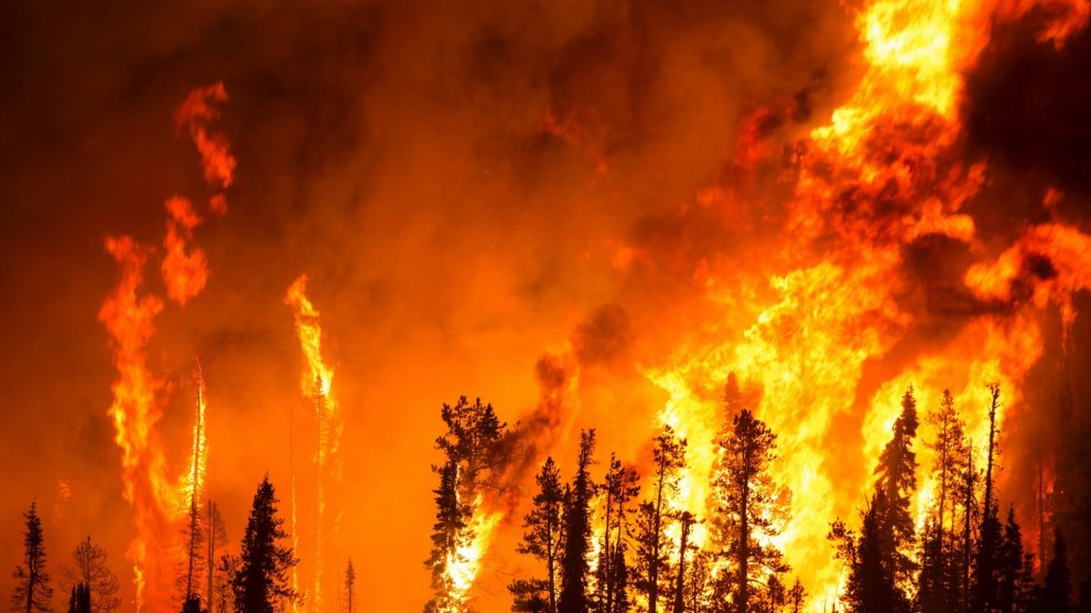 Bulgaristan’da askerler patlayıcı madde imha ederken orman yangını çıktı