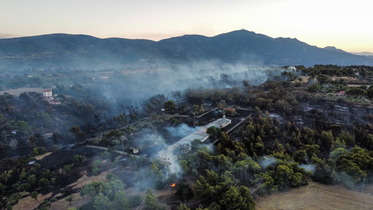 Yunanistan’da 2 haftadır süren yangın Bulgaristan sınırına ulaştı