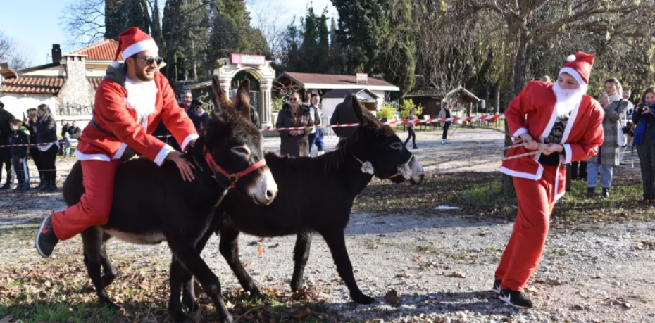 Bosna Hersek’te Noel Babalı eşek yarışı düzenlendi