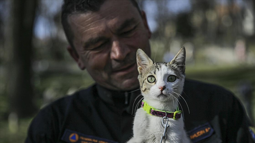 Bosna Hersek arama kurtarma ekibinden Spahovic, Hatay’da sahiplendiği kediye “Aleyna” ismini verdi