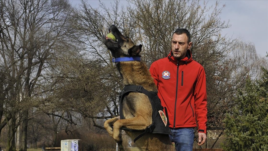 Bosna Hersek’ten Türkiye’ye giden arama kurtarma köpeği Atos, enkaz altındaki birçok kişinin yerini tespit etti