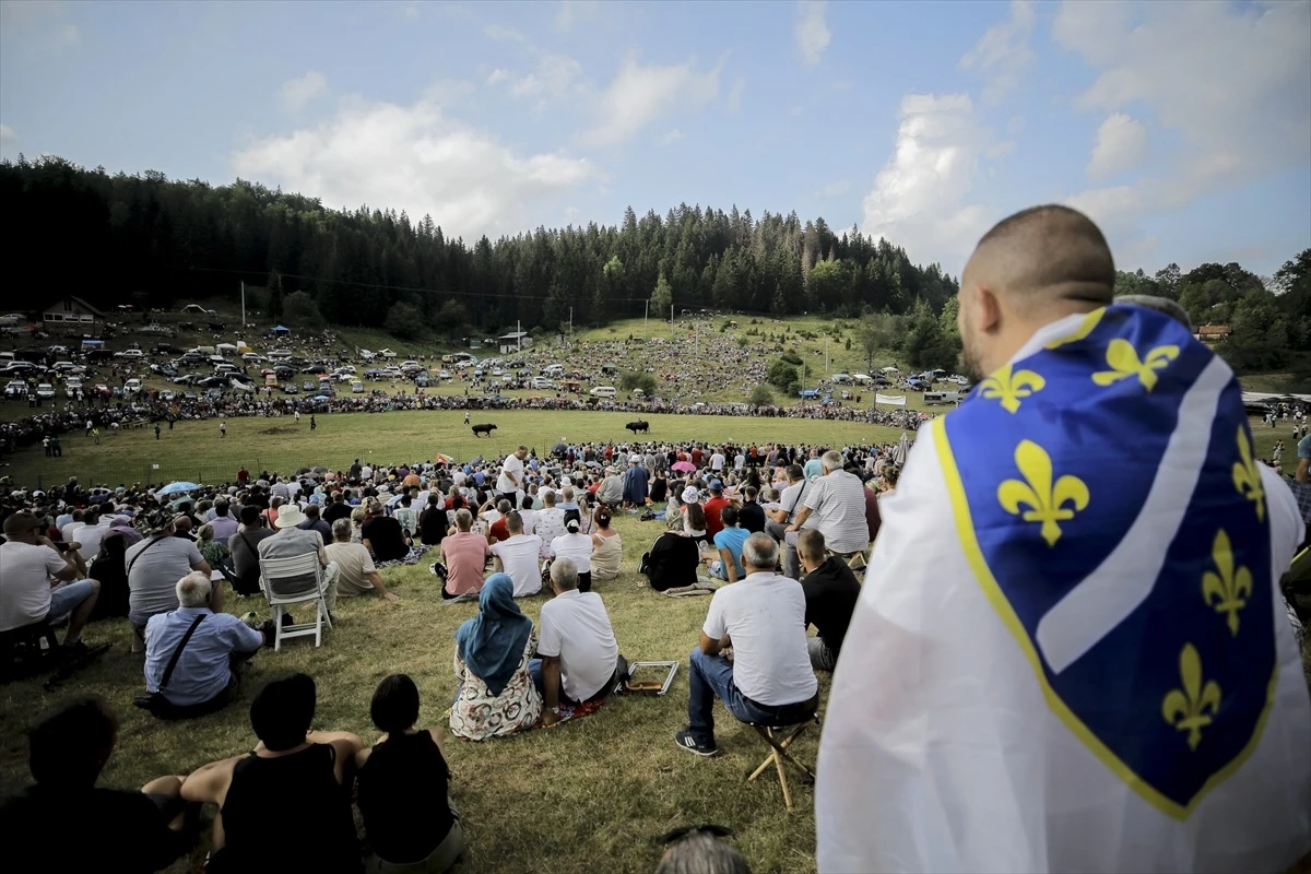 Bosna Hersek’te geleneksel boğa güreşleri etkinliği yeniden düzenlendi
