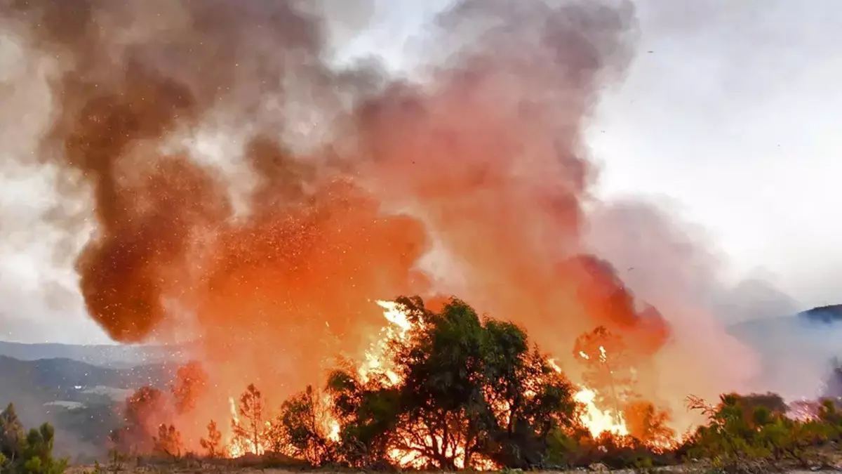 Hırvatistan’daki orman yangını Bosna Hersek’e sıçradı