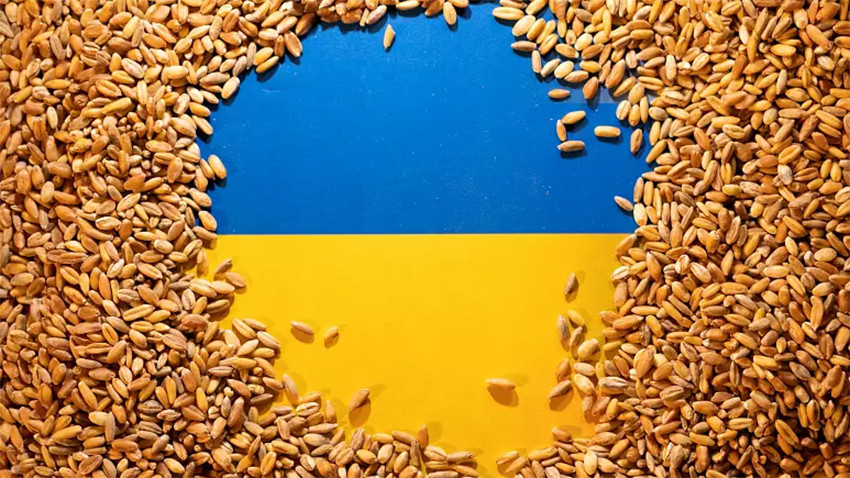 Bulgaristan ve Ukrayna tarım bakanları Ukrayna’dan tarım ürünlerinin ihracatı konusunu görüştü