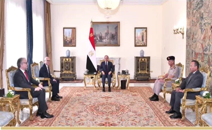 Mısır ve Sırbistan ikili ilişkiler ve askeri iş birliğini görüştü