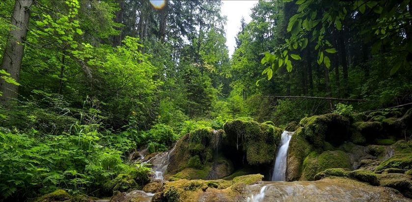Bosna Hersek’teki Miljacka nehri kaynağı yemyeşil doğasıyla hayran bırakıyor