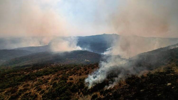 Yunanistan’da orman yangınları 11’inci gününde