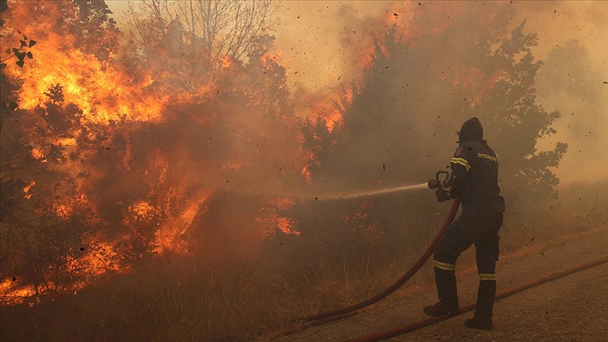 Yunanistan’daki yangınlar ormandaki canlıları yok ederken kurtulanları da yuvasız bıraktı