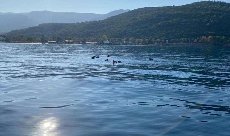 Yunanistan’a yüzerek geçmeye çalışan kaçak göçmenler yakalandı