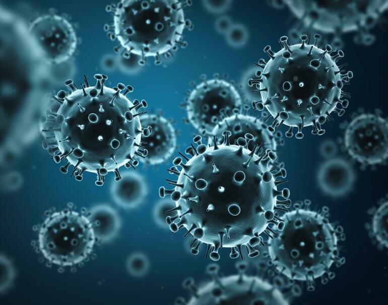 Bulgaristan’da grip salgını alarmı