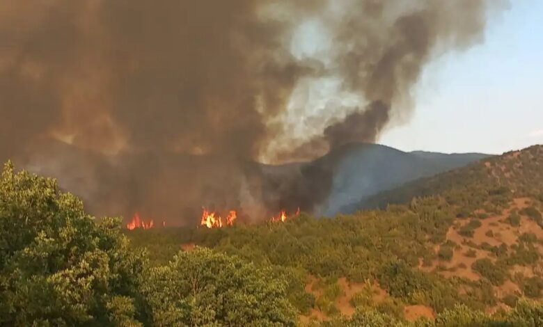 Hırvatistan Kuzey Makedonya’daki yangının söndürülmesine yardım edecek