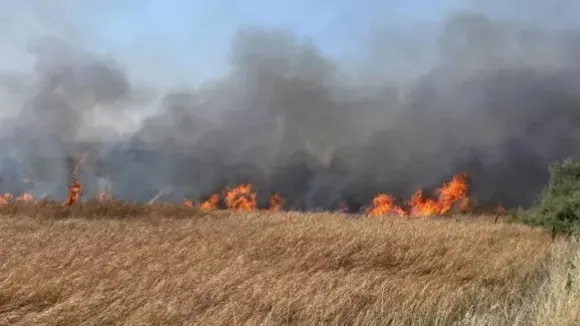 Yunanistan’da Maronya Belediyesi yakınlarında yangın çıktı