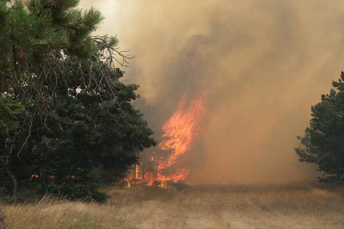 Edirne’de Bulgaristan yangınının dumanı hissediliyor