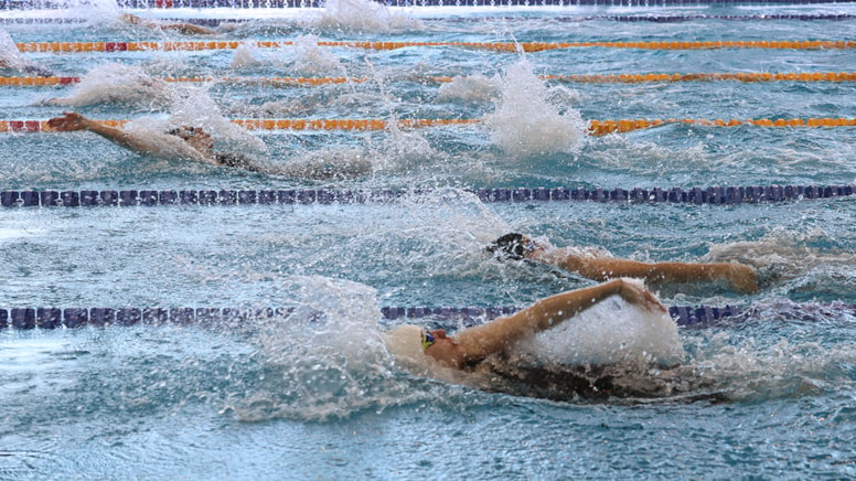 Türk yüzücüler, Sırbistan’da 18 madalya kazandı
