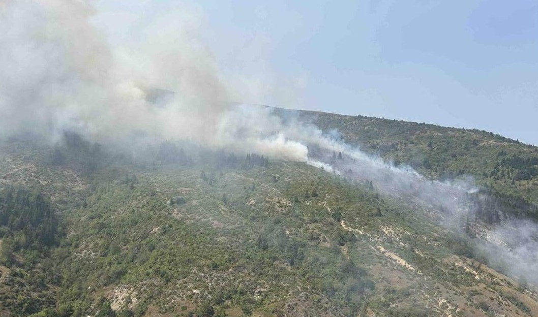 K. Makedonya’da 5 aktif yangın bulunuyor