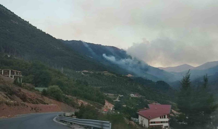 Kosova’da orman yangını turistik köye yaklaşıyor