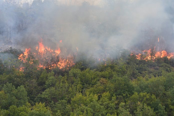 K. Makedonya yanmaya devam ediyor; 43 yangından 9’u aktif