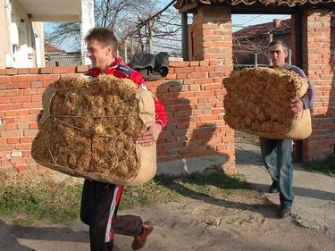 Bulgaristan’da tütün hasadının yaklaşık %40’ı tüccarların elinde